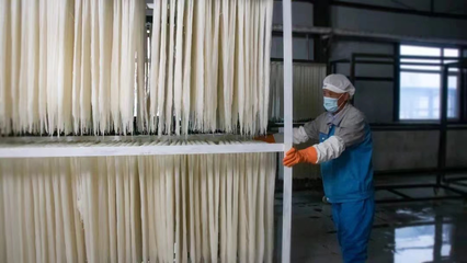 稅務賦能，非遺“活”起來 延邊稅務助力非物質文化遺產傳承與發展